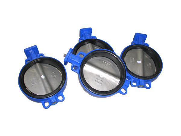 Electric Fisher Electric Concentric Butterfly Valves