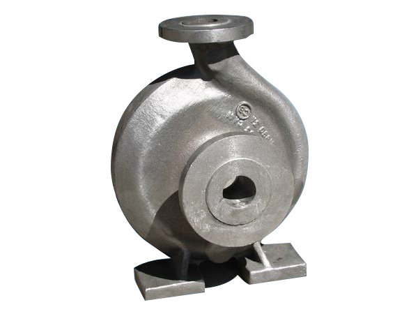 Single Suction Worm-Shaped Pump Body